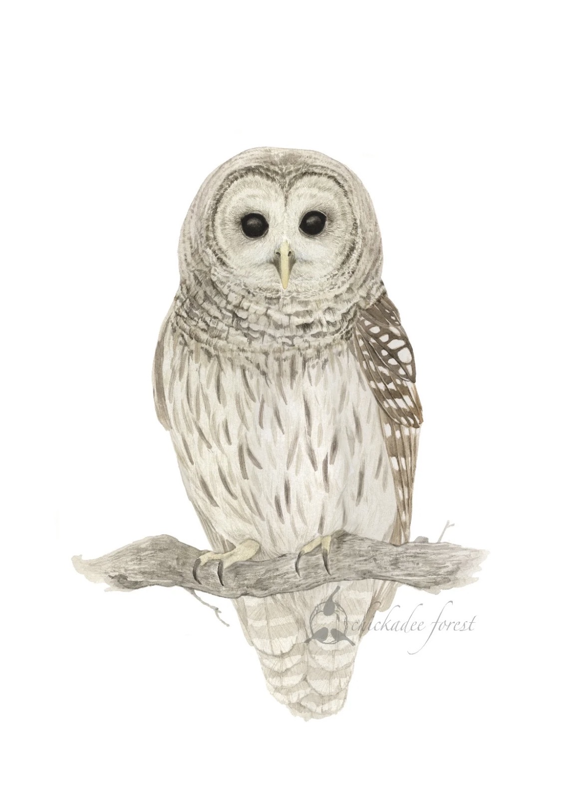 Bird Watercolor
