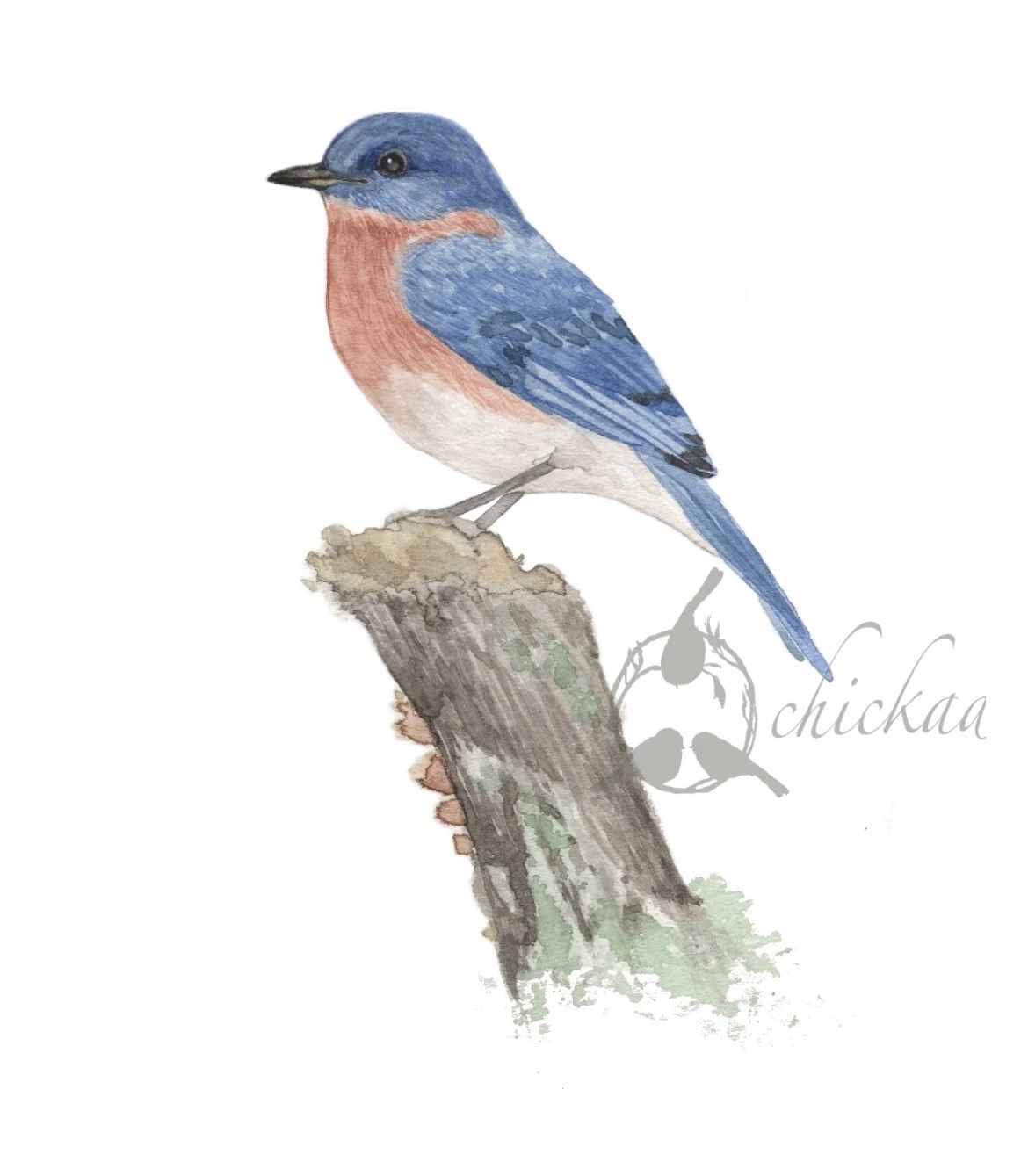 Bird Watercolor